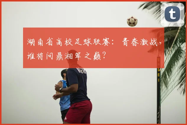 湖南省高校足球联赛:青春激战,谁将问鼎湘军之巅?